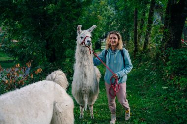 İtalya 'da, ormanda lamalı bir kız. Yüksek kalite fotoğraf