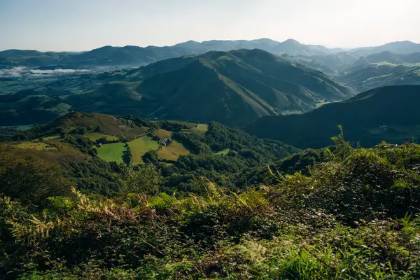 Dağ vadisindeki köy ve yol. Pireneler. Camino de Santiago manzarası. - Evet. Yüksek kalite fotoğraf