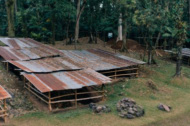 Retalhuleu 'daki Arkeoloji Parkı Takalik Abaj, Maya ve Olmeca, Guatemala - Şubat 2023. Yüksek kalite fotoğraf