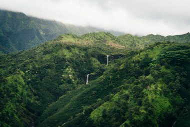 Waialeale Dağı dünyanın en nemli noktası olarak bilinir, Kauai, Hawaii. Yüksek kalite fotoğraf