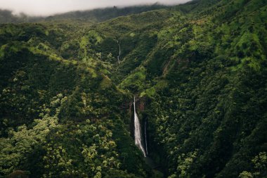 Mount Waialeale known as the wettest spot on Earth, Kauai, Hawaii. High quality photo clipart