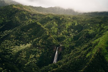 Waialeale Dağı dünyanın en nemli noktası olarak bilinir, Kauai, Hawaii. Yüksek kalite fotoğraf