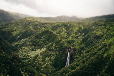 Waialeale Dağı dünyanın en nemli noktası olarak bilinir, Kauai, Hawaii. Yüksek kalite fotoğraf