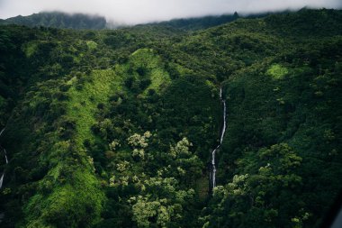 Waialeale Dağı dünyanın en nemli noktası olarak bilinir, Kauai, Hawaii. Yüksek kalite fotoğraf