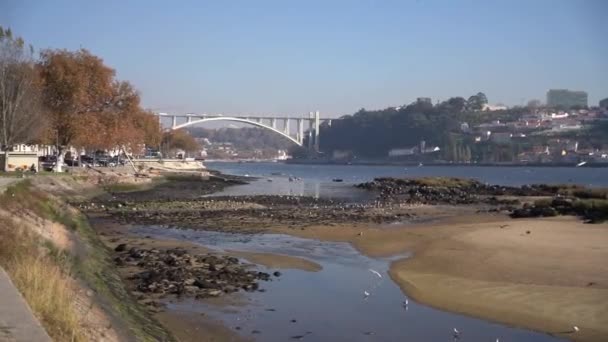 Ciudad Europea Oporto Con Puente Luis Río Duero — Vídeo de stock