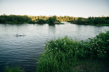 Güvercin River büyük Portage devlet parkı ve Hint rezervasyon akar. Ontario ve Minnesota arasındaki sınırın