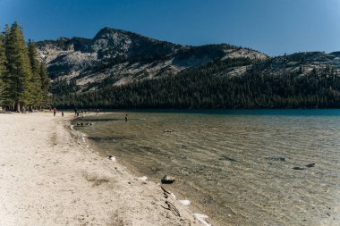 Yosemite Parkı. Tenaya Gölü 'nün suyunda güneş parlıyor. Yüksek kalite fotoğraf