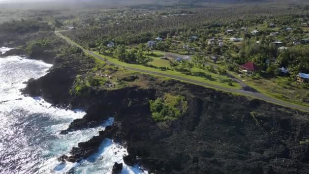 Vista Aerea Case Big Island Hawaii Filmati Alta Qualità — Video Stock