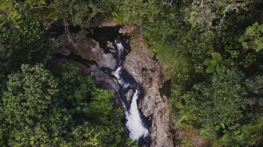 Porto Riko 'daki El Yunque Ulusal Ormanı' nda küçük bir şelale. Yüksek kalite fotoğraf