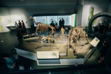 Drumheller, Kanada - Mar 2023 Ziyaretçiler Royal Tyrrell Müzesi 'nin girişindeki dinozor sergilerine akın ediyor. Yüksek kalite fotoğraf