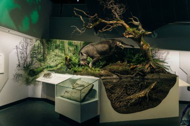 Drumheller, Kanada - Mar 2023 Ziyaretçiler Royal Tyrrell Müzesi 'nin girişindeki dinozor sergilerine akın ediyor. Yüksek kalite fotoğraf