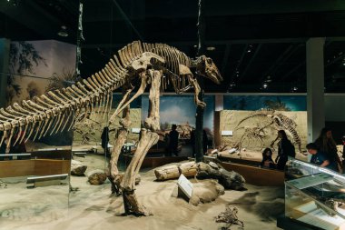 Drumheller, Kanada - Mar 2023 Ziyaretçiler Royal Tyrrell Müzesi 'nin girişindeki dinozor sergilerine akın ediyor. Yüksek kalite fotoğraf