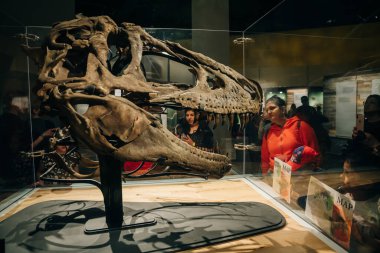 DRUMHELLER, ALBERTA, CANADA - Alberta 'daki Royal Tyrrell Paleontoloji Müzesi' nin ön girişinde 2023 Ziyaretçi. Yüksek kalite fotoğraf