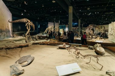 Drumheller, Kanada - Mar 2023 Ziyaretçiler Royal Tyrrell Müzesi 'nin girişindeki dinozor sergilerine akın ediyor. Yüksek kalite fotoğraf