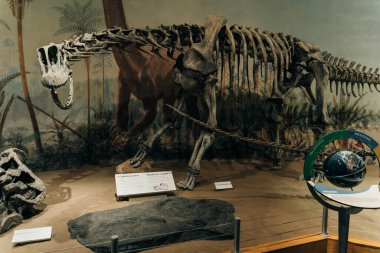 Drumheller, Kanada - Mar 2023 Ziyaretçiler Royal Tyrrell Müzesi 'nin girişindeki dinozor sergilerine akın ediyor. Yüksek kalite fotoğraf