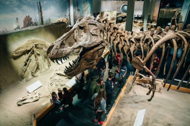 Drumheller, Kanada - Mar 2023 Ziyaretçiler Royal Tyrrell Müzesi 'nin girişindeki dinozor sergilerine akın ediyor. Yüksek kalite fotoğraf