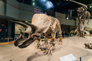 Drumheller, Kanada - Mar 2023 Ziyaretçiler Royal Tyrrell Müzesi 'nin girişindeki dinozor sergilerine akın ediyor. Yüksek kalite fotoğraf