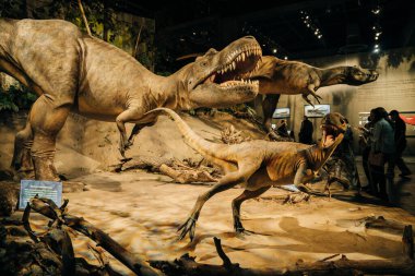 Drumheller, Kanada - Mar 2023 Ziyaretçiler Royal Tyrrell Müzesi 'nin girişindeki dinozor sergilerine akın ediyor. Yüksek kalite fotoğraf