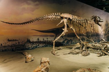 Drumheller, Kanada - Mar 2023 Ziyaretçiler Royal Tyrrell Müzesi 'nin girişindeki dinozor sergilerine akın ediyor. Yüksek kalite fotoğraf