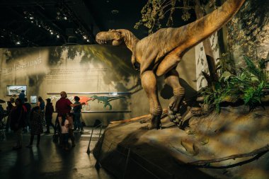 DRUMHELLER, ALBERTA, CANADA - Alberta 'daki Royal Tyrrell Paleontoloji Müzesi' nin ön girişinde 2023 Ziyaretçi. Yüksek kalite fotoğraf