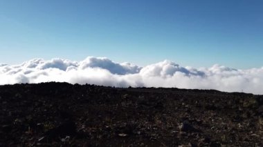 Maui, Hawaii, ABD - Temmuz 2021 - Maalaea Limanı panoramik manzarası. - Evet. Yüksek kalite 4k görüntü