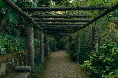 Pena, Sintra, Lisboa, Portekiz Ulusal Sarayı yakınlarındaki park. Yüksek kalite fotoğraf