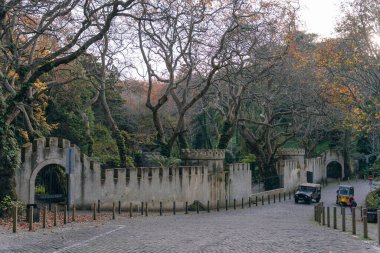 Pena, Sintra, Lisboa, Portekiz Ulusal Sarayı yakınlarındaki park. Yüksek kalite fotoğraf