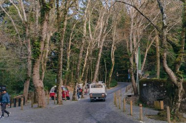 Pena, Sintra, Lisboa, Portekiz Ulusal Sarayı yakınlarındaki park. Yüksek kalite fotoğraf