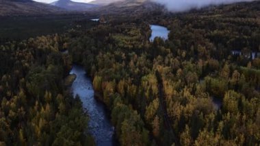 Alaska, Amerika 'daki Rus nehrinin havadan görünüşü. Yüksek kalite 4k görüntü