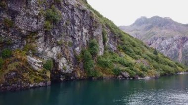 Alaska 'daki Kenai Fjords Ulusal Parkı' nda mavi sular ve ağaçlar taşlarla kaplıydı. Yüksek kalite 4k görüntü