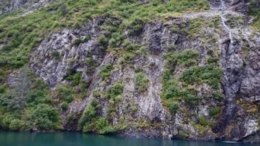 Alaska 'daki Kenai Fjords Ulusal Parkı' nda mavi sular ve ağaçlar taşlarla kaplıydı. Yüksek kalite 4k görüntü