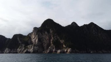 Alaska 'daki Kenai Fjords Ulusal Parkı' nda mavi sular ve ağaçlar taşlarla kaplıydı. Yüksek kalite 4k görüntü