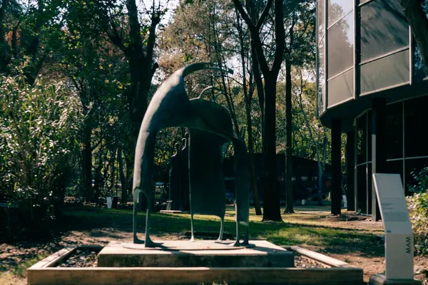 Mexico City - Mayıs 2023 Chapultepec Ormanı içinde Modern Sanatlar Müzesi. Yüksek kalite fotoğraf