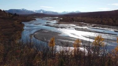 Sonbaharda Savage River Canyon Ulusal Parkı manzaralı. Yüksek kalite 4k görüntü