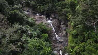 La Mina Şelalesi 'nin aşağısındaki Karayip Ulusal Ormanı' ndaki El Yunque yağmur ormanında Puerto Rico 'da şelale ve havuz. Yüksek kalite 4k görüntü