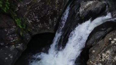 La Mina Şelalesi 'nin aşağısındaki Karayip Ulusal Ormanı' ndaki El Yunque yağmur ormanında Puerto Rico 'da şelale ve havuz. Yüksek kalite 4k görüntü