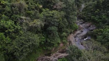 La Mina Şelalesi 'nin aşağısındaki Karayip Ulusal Ormanı' ndaki El Yunque yağmur ormanında Puerto Rico 'da şelale ve havuz. Yüksek kalite 4k görüntü