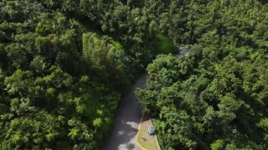 El Yunque Ormanı Porto Riko 'daki Yokahu Kulesi' nin hava görüntüsü. Yüksek kalite 4k görüntü
