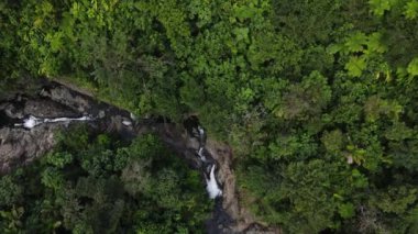La Mina Şelalesi 'nin aşağısındaki Karayip Ulusal Ormanı' ndaki El Yunque yağmur ormanında Puerto Rico 'da şelale ve havuz. Yüksek kalite 4k görüntü