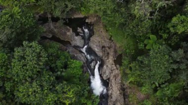 La Mina Şelalesi 'nin aşağısındaki Karayip Ulusal Ormanı' ndaki El Yunque yağmur ormanında Puerto Rico 'da şelale ve havuz. Yüksek kalite 4k görüntü