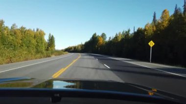 Alaska 'daki arabanın manzarası güzel. Yüksek kalite 4k görüntü