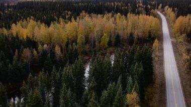 Alaska 'da sonbaharda yol manzarası. Yüksek kalite 4k görüntü