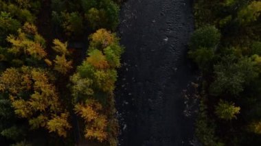 Alaska, Amerika 'daki Rus nehrinin havadan görünüşü. Yüksek kalite 4k görüntü