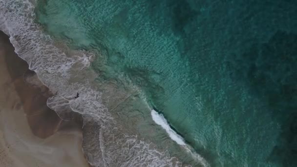 Tamarindo Stranden Culebra Puerto Rico Högkvalitativ Film — Stockvideo