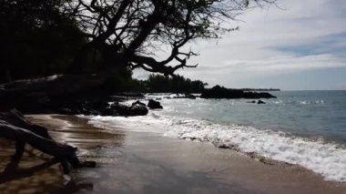 Sahil 69, Waialea, Büyük Ada, Hawaii. Yüksek kalite 4k görüntü