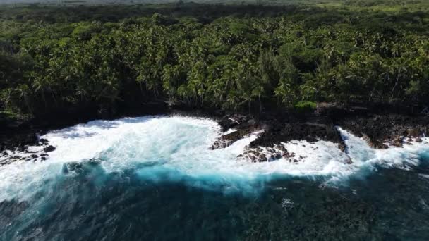 Vue Aérienne Des Vagues Océaniques Échouant Sur Basalte Noir Hawaï — Video