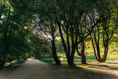 Kolomenskoye Parkı, Moskow, Rusya 'daki göl. Yüksek kalite fotoğraf