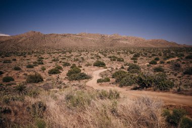 Joshua Tree National Park in California. High quality photo clipart