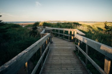 Prens Edward Adası 'ndaki Balık Adası Deniz Feneri. Prens Edward Adası, Kanada - Mayıs 2023. Yüksek kalite fotoğraf
