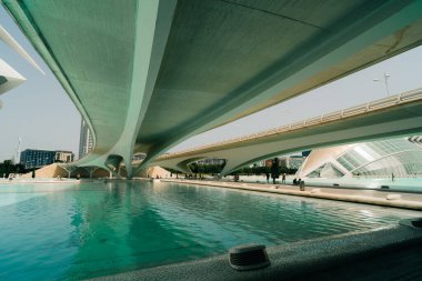 İspanya 'nın Valencia şehrindeki Sanat ve Bilim Köprüsü - Mayıs 2023. Yüksek kalite fotoğraf